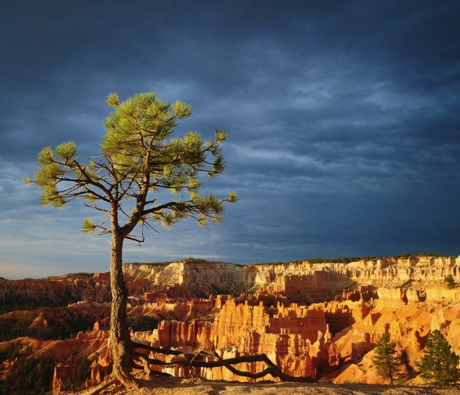 Bryce Canyon, Utah, United States